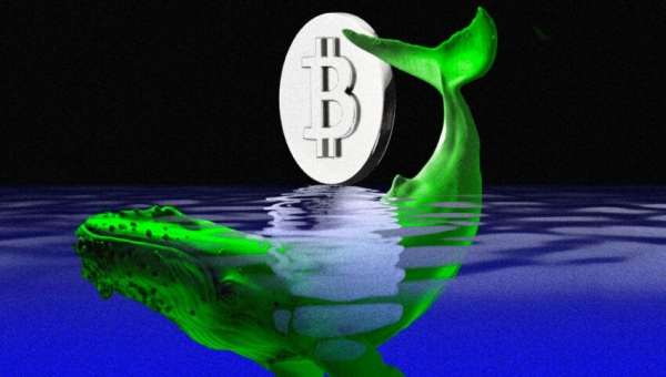 Czy Wieloryby Wywołają Wzrost Ceny Bitcoina Przed Decyzją Fed C840a98, NEWSFIN