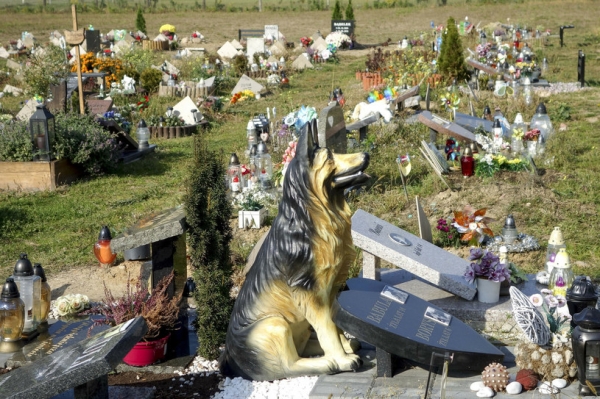 Dla Zwierząt Stworzono Specjalne Cmentarze Wiemy Ile Kosztuje Groacuteb Dla Pupila 0130c43, NEWSFIN