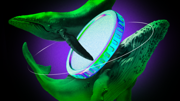 Krypto Wieloryby Gromadzą Te 3 Altcoiny Po Dobrej Przecenie 2f21e60, NEWSFIN