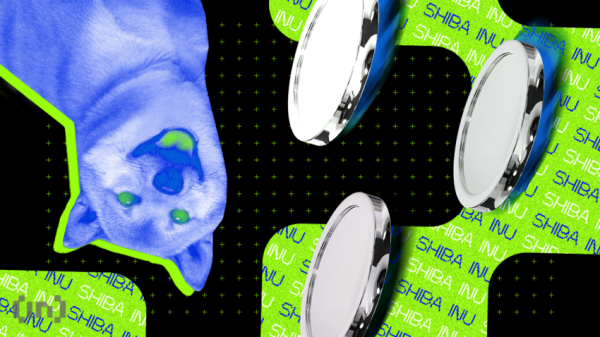 Liczba Portfeli Shibarium Osiąga Poziom 1 Mln D6ace27, NEWSFIN