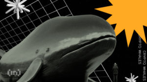 Wieloryby ethereum maja oczy szeroko otwarte 3f51e5c.png