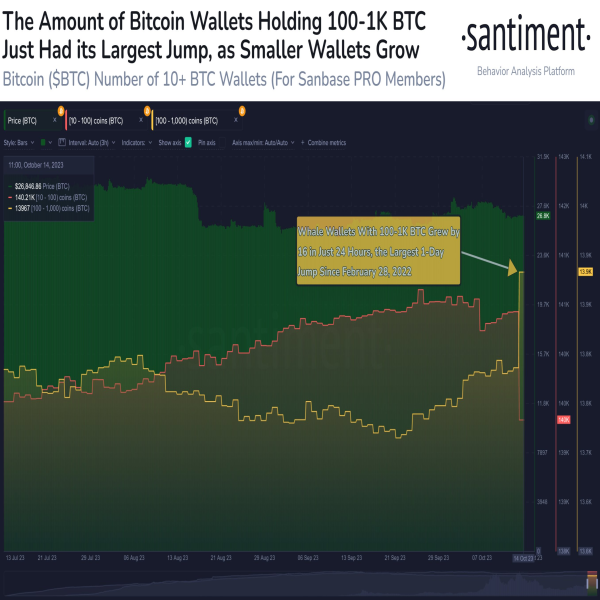 Alert Krypto Wieloryboacutew Ponad 16 Nowych Adresoacutew Ze Spora Iloscia Bitcoina Btc 7fabe8c, NEWSFIN