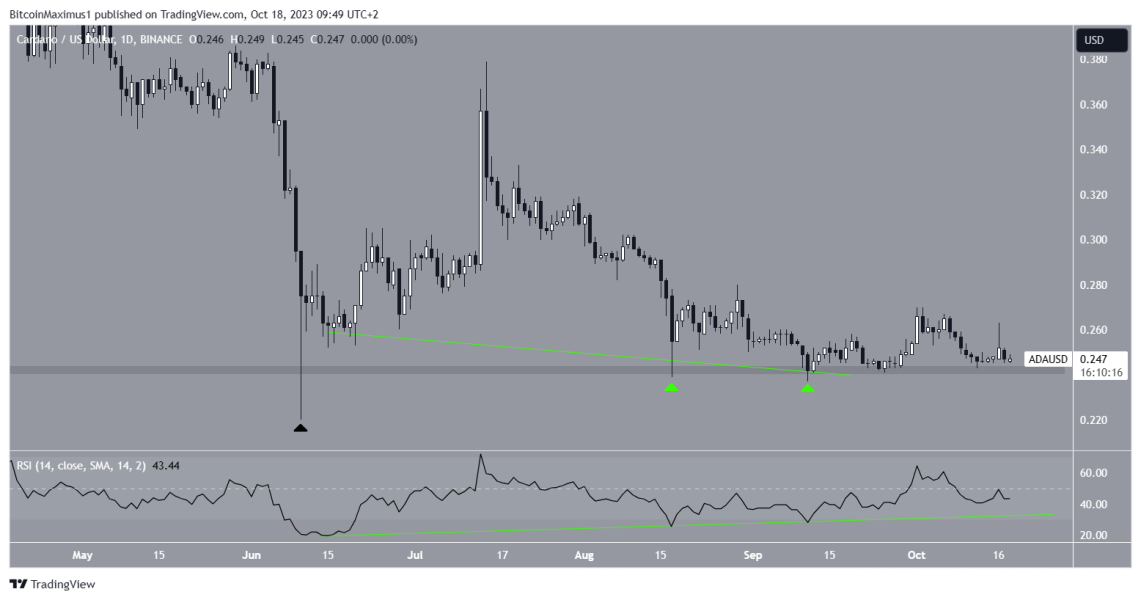 Cardano Ada Utrzymuje Wsparcie Przy 024 Usd Co Dalej 9277ff5, NEWSFIN