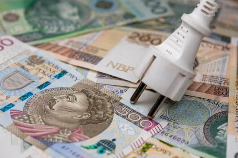 Podwyżki cen prądu w 2024 roku. Ile mogą wynieść?
