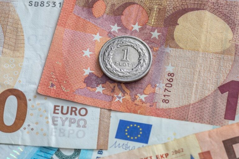 Czy złoty zsunie się ze ścieżki wzrostu? Euro szykuje się do kontrataku