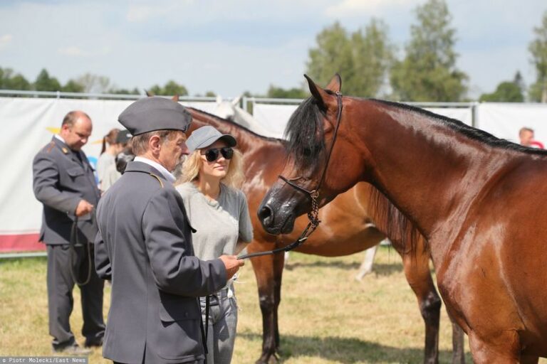 Zwrot po siedmiu latach. Prokuratura umarza śledztwo w stadninie w Janowie Podlaskim