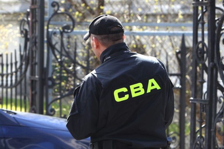 Afera wizowa. CBA w siedzibie Polskiej Agencji Inwestycji i Handlu Afera wizowa. CBA w siedzibie Polskiej Agencji Inwestycji i Handlu