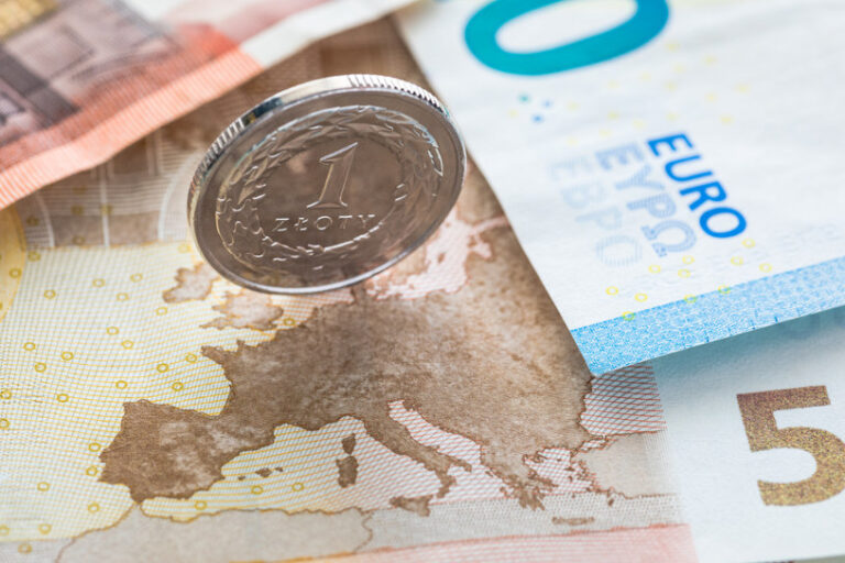 Kursy walut. Ile kosztują euro, dolar i frank w piątek, 16 grudnia?