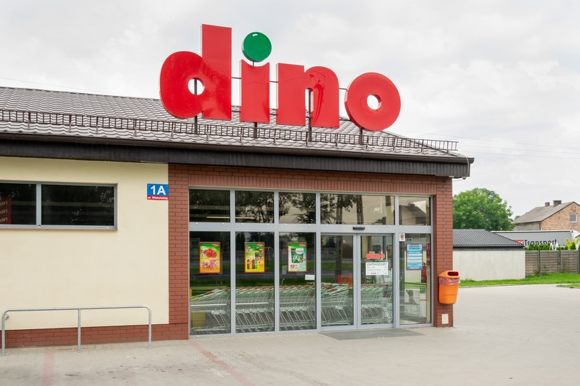 Dino Pochwalilo Sie Wynikami Kurs Zanurkowal 6e33f62, NEWSFIN