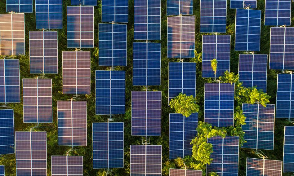 Ogromna Redukcja Nie Dotyczyla Prosumentoacutew Pse Tlumacza Czasowe Wylaczenia Zielonych Zroacutedel Energii 1e76dd5, NEWSFIN