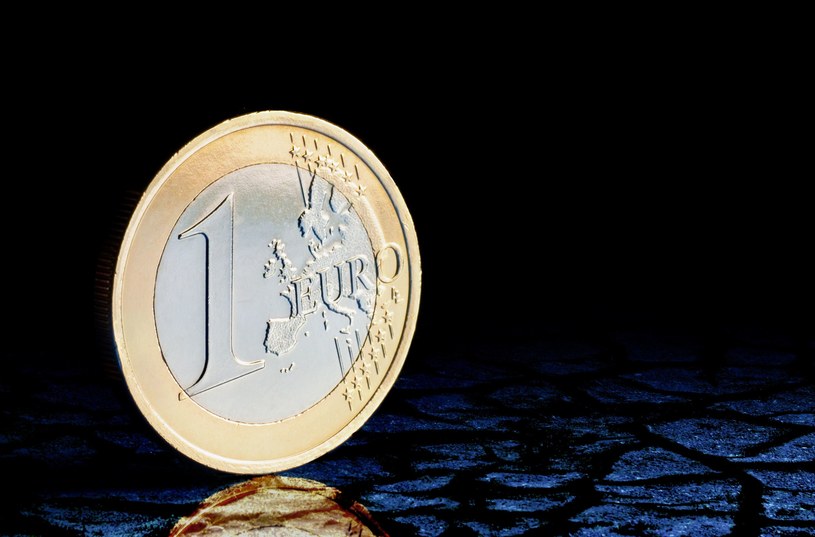 Euro W Polsce W Najblizszych Latach Dyskusja Jest Bezcelowa 966e743, NEWSFIN