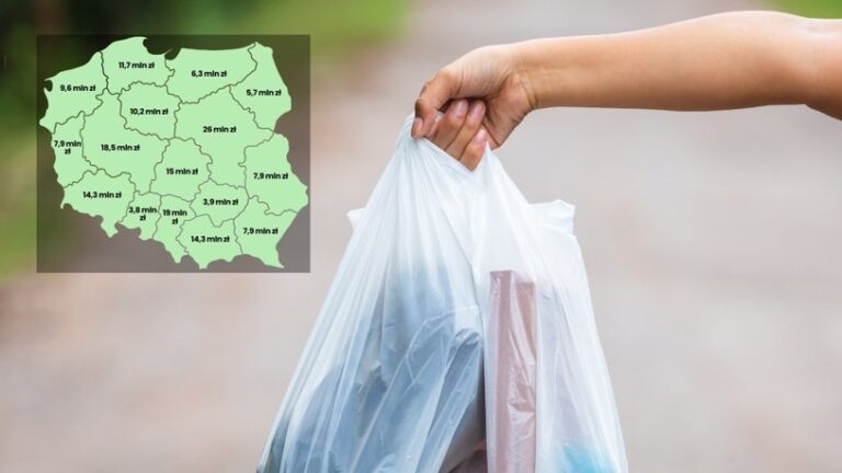 Opłata recyklingowa 2023. Wiemy, ile zarobiły na niej rząd i samorządy