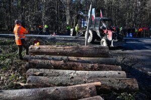 Wielka zmiana w lasach ministerstwo klimatu ma konkretny plan 89dd398.jpg