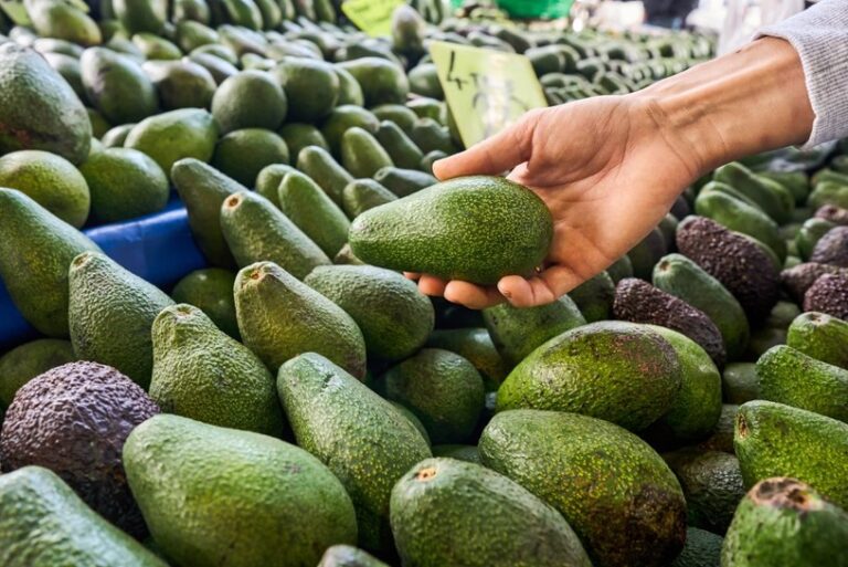 Ceny awokado pójdą w górę. Zmiany klimatu niszczą plantacje