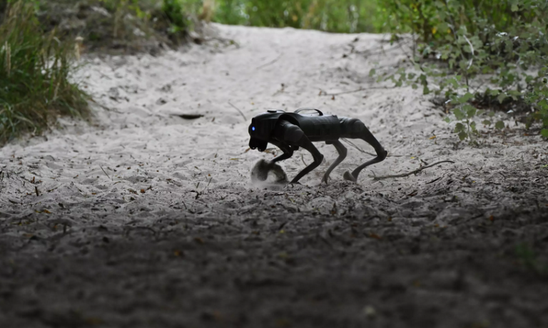 Psy-roboty wesprą ukraińskich żołnierzy na linii frontu Psy-roboty wesprą ukraińskich żołnierzy na linii frontu