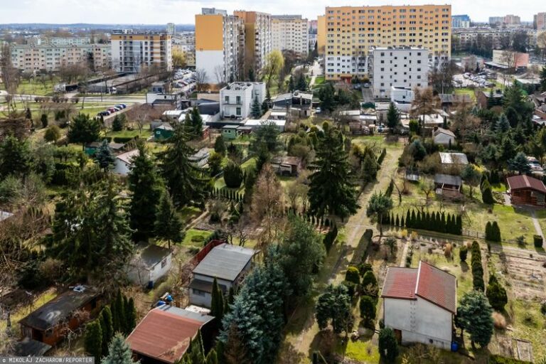 Bitwa o ogródki działkowe. Luka w przepisach może pokrzyżować plany