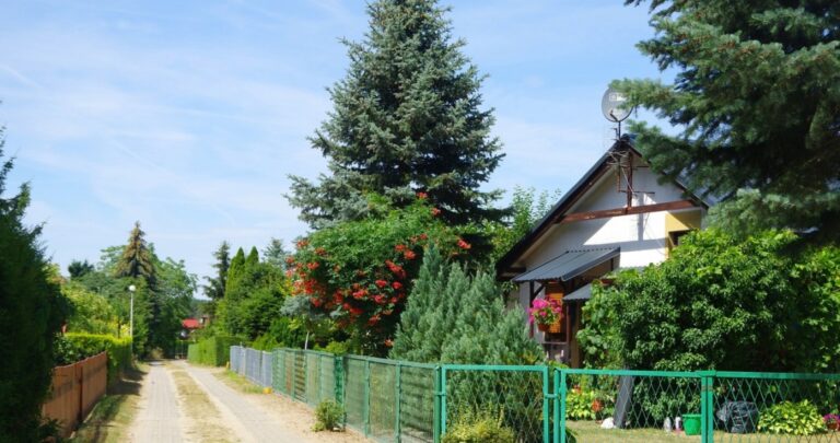 Działkowcy mieli obawy, rząd zapowiada zmiany. „Będą zadowoleni”