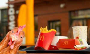 Mcdonalds traci klientoacutew z powodu wysokich cen firma postawi na kurczaka bo wolowina jest droga e135c02.jpg