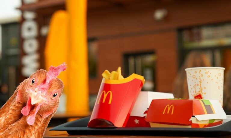 McDonald’s traci klientów z powodu wysokich cen. Firma postawi na kurczaka, bo wołowina jest droga