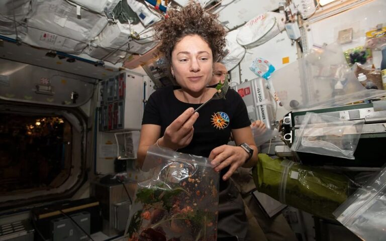 Naukowcy wymyślili zaskakujący pokarm dla astronautów. Jest dostępny w kosmosie