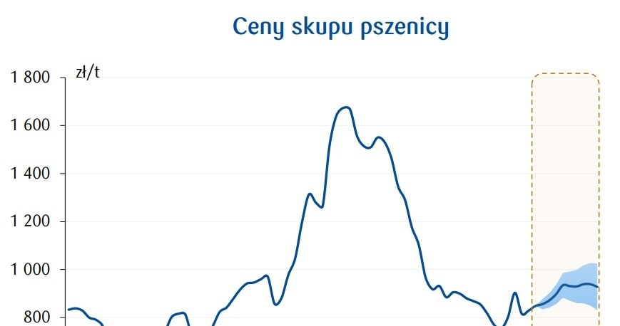 Czy Ceny Zboacutez Wzrosna W 2025 Roku Analitycy Nie Maja Watpliwosci E4f6de9, NEWSFIN