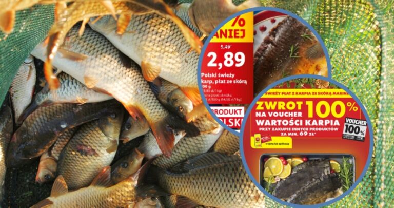 Promocje na karpia w marketach. Prawie 50 zł za kilogram w jednej z sieci