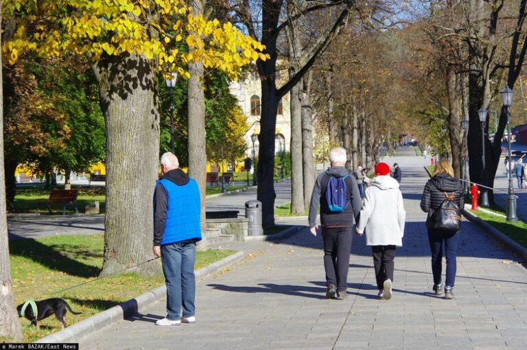 Sanatorium Bez Kolejek I Za Darmo Wystarczy Tylko Jeden Wniosek 283e376, NEWSFIN