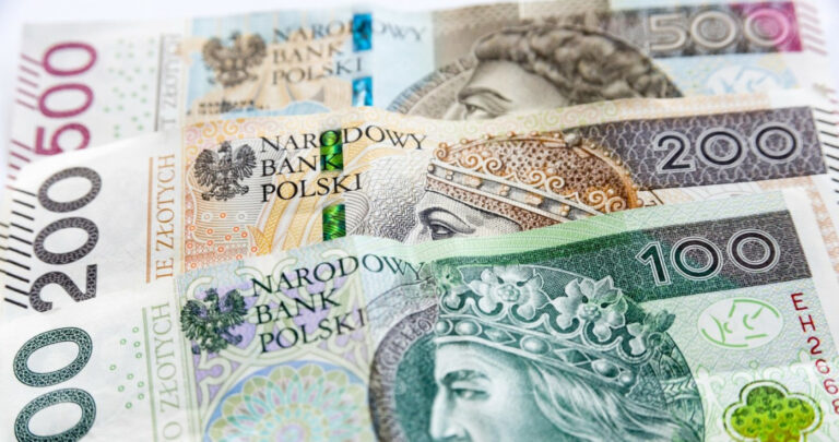 Czy komornik może zająć świadczenia i 800 plus? Oto, co mówi prawo