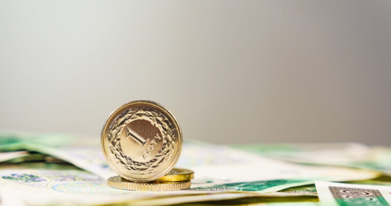 Kursy Walut Ile Kosztuj Dolar Euro I Frank 12 Maja 2025 Roku Df0b9ef, NEWSFIN