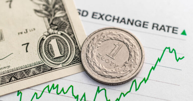 Kursy Walut Ile Kosztuj Dolar Euro I Frank W Czwartek 22 Maja Wieczorem 3463563, NEWSFIN