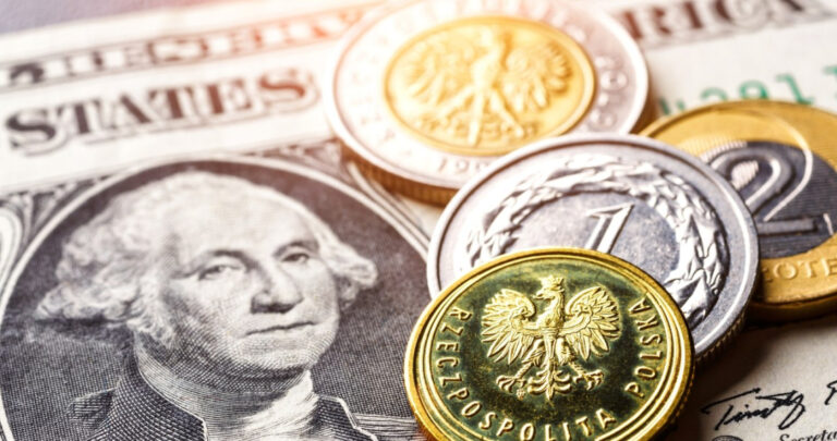 Kursy Walut W Czwartek 29 Maja Ile Kosztuj Euro Dolar I Frank 0670e00, NEWSFIN