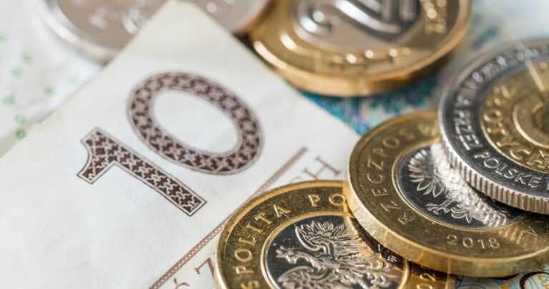 Euro Mocniejsze Zoty Nie Dotrzymuje Kroku Eksperci Wskazuj Ryzyka 5388dc3, NEWSFIN