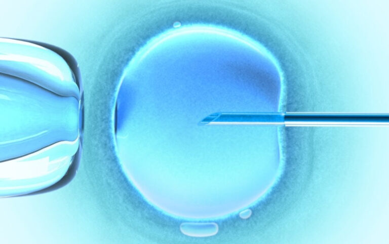 Urodziy Si Dzieci Z Dna Trzech Osb Nowa Nadzieja Medycyny 5aaefe4, NEWSFIN