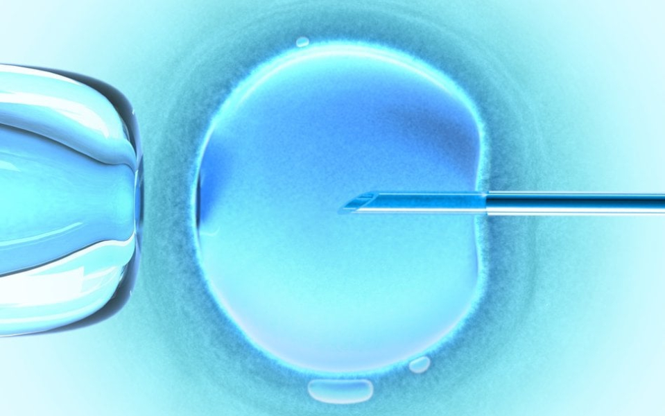Urodziy Si Dzieci Z Dna Trzech Osb Nowa Nadzieja Medycyny 5aaefe4, NEWSFIN