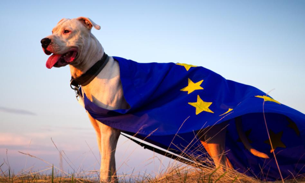 Październikowa inflacja w eurozonie w 2025 bez zmian, nadal powyżej 2%. Inflacja W Strefie Euro W Padzierniku 2025 Pozostaa Stabilna Cho Powyej 2 0dbaf46, NEWSFIN