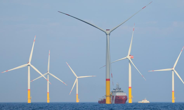 Morsk Energetyk Wiatrow Trzeba Rozwija To Powinien By Sztandarowy Projekt Ponad Podziaami I Na Pokolenia Cd985e8, NEWSFIN