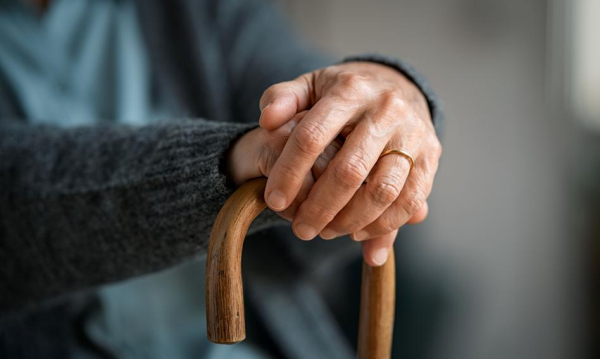 Nawet 1 Mln Winiw Czwartego Pitra Najem Senioralny Pomoe E5b0b49, NEWSFIN