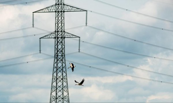 URE launches Polish Energy Growth Accelerator Ure Uruchamia Akcelerator Rozwoju Polskiej Energetyki F907d7e, NEWSFIN