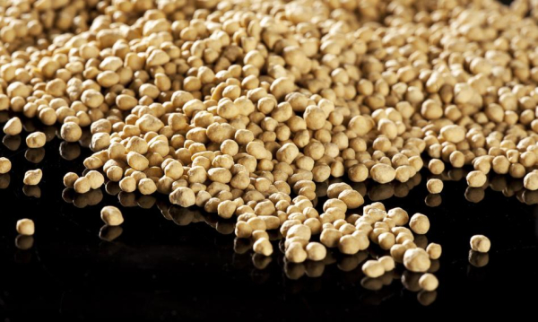 30 Tys Ton Nalecych Do Rosji Nawozw Mineralnych Trafio Do Bangladeszu 65503a8, NEWSFIN