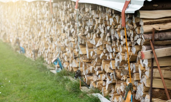 Ceny Drewna Szoruj Po Dnie Eksport Poza Ue Spad O Prawie Poow 3bba412, NEWSFIN