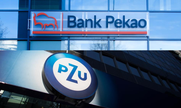 Fuzja Pekao Z Pzu Nawet Bardziej Korzystna Dla Skarbu Pastwa Ni Dla Inwestorw 572b243, NEWSFIN