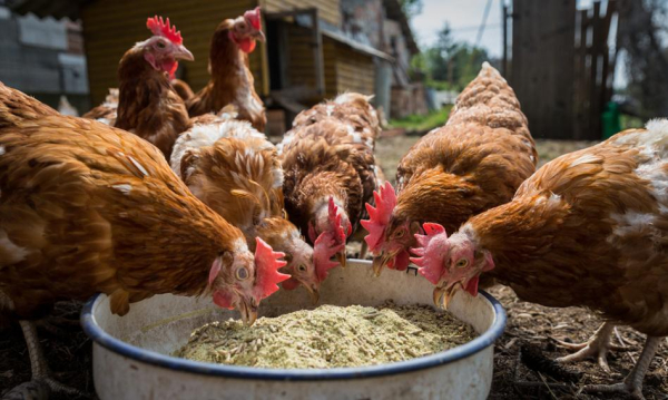 Gromadzkiej zdaniem: Pracy mnóstwo. Liczy się przede wszystkim polska marka. Gromadzka Jest Duo Do Zrobienia Polski Produkt Jest Na Pierwszym Miejscu 5fdb0fc, NEWSFIN