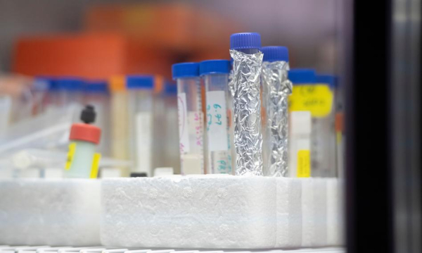 GUS: Więcej firm w obszarach biotechnologii i nanotechnologii. Gus Ronie Liczba Firm Dziaajcych W Biotech I Nanotech 57d699e, NEWSFIN