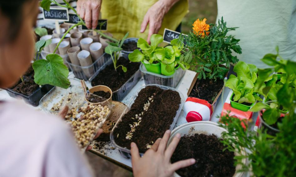Naturalis Zakoczyo Projekt Arise Skatalagowane Gatunki Bdzie Monitorowaa Ai 925553e, NEWSFIN