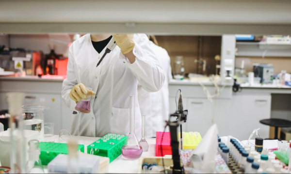 Poltreg Ma Patent Od Europejskiego Urzdu Dot Limfocytw T Regulatorowych C1d2b16, NEWSFIN