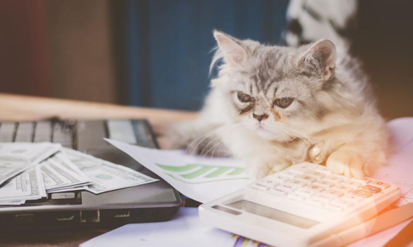 Orlen na szczycie, inflacja w dół i Niemcy bez wzrostu. Graficzny przegląd tygodnia. Rekordowa Wycena Orlenu Inflacja Poniej 3 I Niemieckie Zero Tydzie Na Wykresach Fce80c3, NEWSFIN