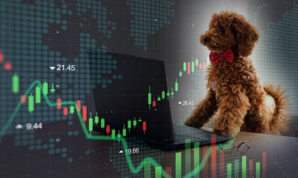 RPP obniża, Orlen winduje zyski, NBP skupuje kruszec. Tygodniowy przegląd graficzny Rpp Tnie Orlen Podnosi Mare Nbp Gromadzi Zoto Tydzie Na Wykresach C33cd0f, NEWSFIN