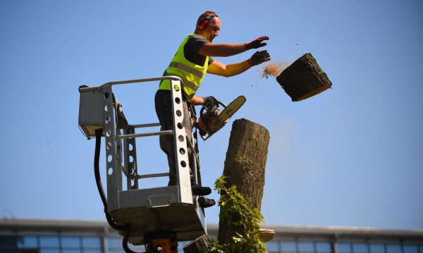 Praca w Polsce: Nowe dane statystyczne. Tyle Osb Pracuje W Polskiej Gospodarce Narodowej Gus Poda Liczby 817f49a, NEWSFIN