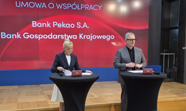 Wana Umowa Midzy Bankami Pekao Wesprze Bgk W Emisjach Obligacji W Kraju I Za Granic 8b97834, NEWSFIN