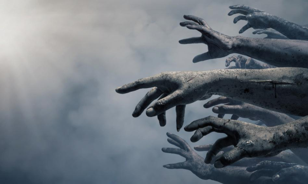 Wskrzeszone i gwałtownie zyskujące na wartości. Banki pod presją na parkiecie po obniżce stóp procentowych przez Radę Polityki Pieniężnej. Wracaj Z Zawiatw I Droej W Zawrotnym Tempie Banki Trac Na Giedzie W Dniu Cicia Stp Przez Rpp A0a81b4, NEWSFIN